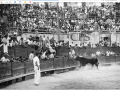 Course à la cocarde. Arènes d'Arles